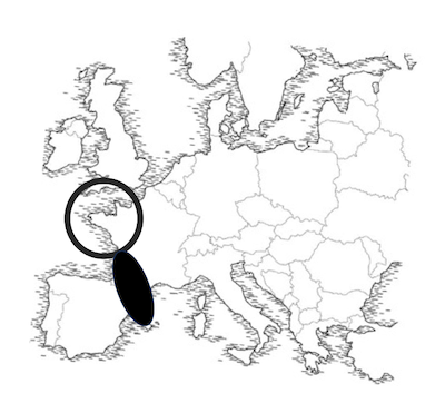 carte loupe carte loupe